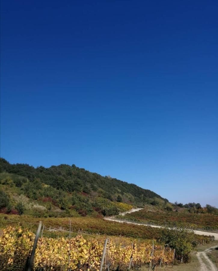 Ca' Del Passero B&B Vigoleno Εξωτερικό φωτογραφία